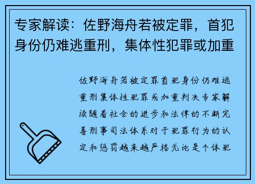 专家解读：佐野海舟若被定罪，首犯身份仍难逃重刑，集体性犯罪或加重判决